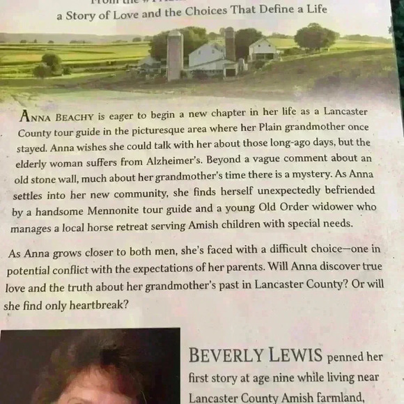 The Stonewall by Beverly Lewis - Picture 4 of 4